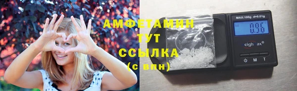 шишки Майский