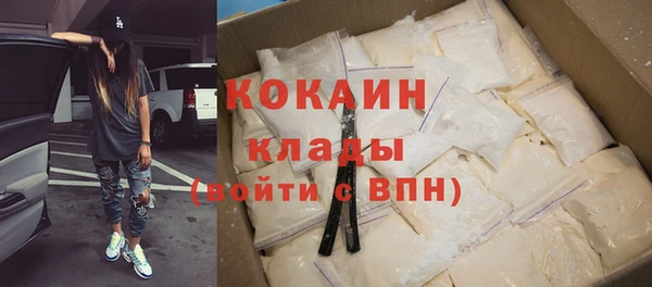 шишки Майский
