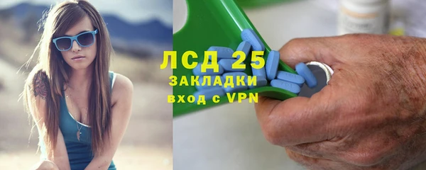 шишки Майский