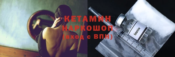 шишки Майский