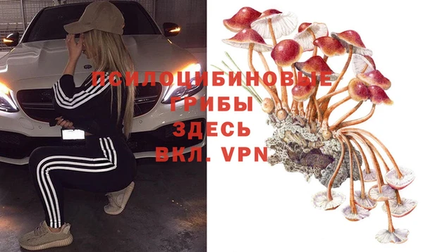 шишки Майский