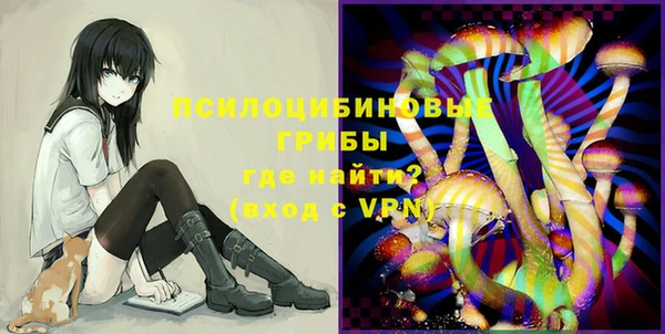 шишки Майский