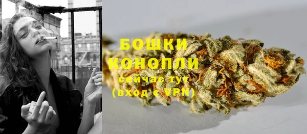 шишки Майский
