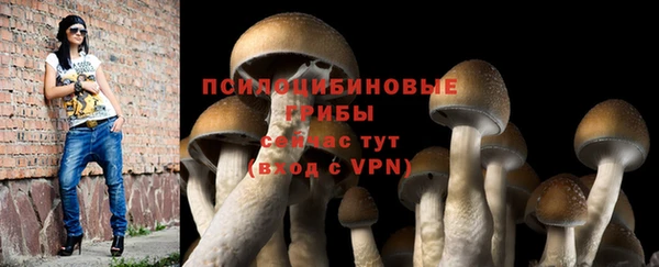 шишки Майский